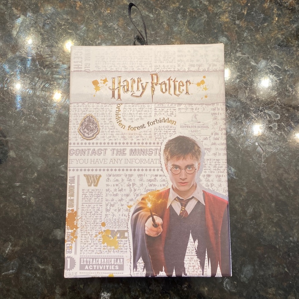 1 pair of silver (brass plated) Harry Potter earrings